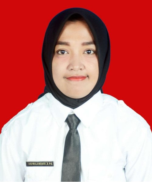 Iis Wulandari, S.Pd